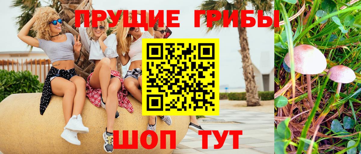 Тара  Псилоцибиновые грибы GOLDEN TEACHER  Вход с VPN  Галлюциногенные грибы мицелий 