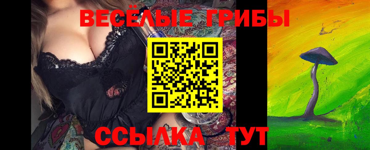 Галлюциногенные грибы Psilocybine cubensis Тара